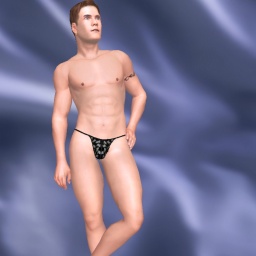 multiplayer virtual sex game player heterosexual lusty boy Bushi24, Germany, 