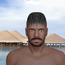 3Dsex game playing AChat community member heterosexual hot boy PaulD02, mmf arranger . call me who is interested