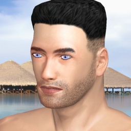 multiplayer virtual sex game player heterosexual virile boy Hasker, NZ, 