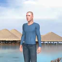 partner heterosexual erotomanic boy P3rc,  for adult online game playing