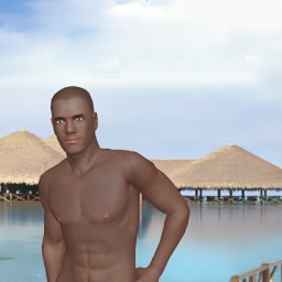 3Dsex game playing AChat community member heterosexual fiend boy Zzrankkonzz, 