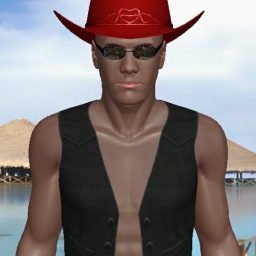 Online sex games player HomoCowboy in 3D Sex World