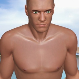 3Dsex game playing AChat community member heterosexual lecher boy Vgnpwr, Vegan, 