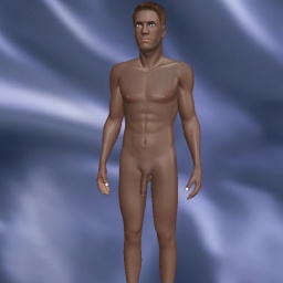 for 3D virtual sex game, join and contact heterosexual emotional boy OnlyfansEric, USA, 