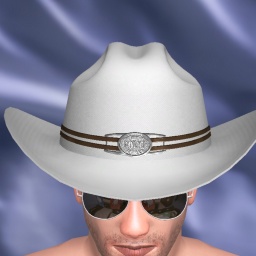 for 3D virtual sex game, join and contact heterosexual lustful boy BigBadBuford, One more ride, AChat, jus an ol country boy. i like gettin rough with my toys. 