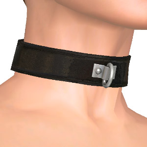 Collar, Feed your fetish!