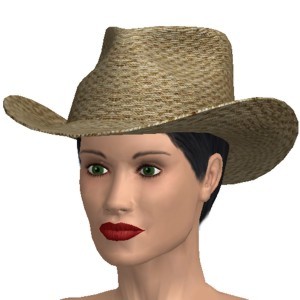 Cowboy hat, Straw