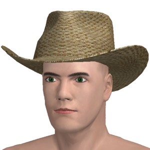 Cowboy hat, Straw, addition to ultimate 3D chat porn game AChat Next