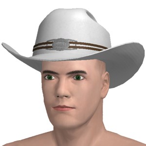 Cowboy hat, White