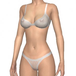 Semi transparent bra and panties, white, for top 