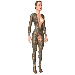 Sexy body suit, Exclusive wear