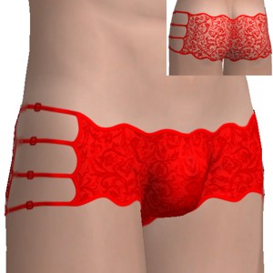 Sexy briefs, Red lacy