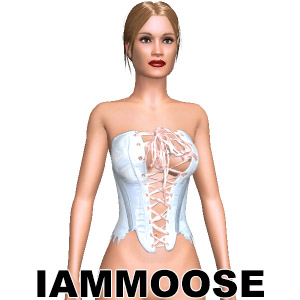 Sexy corset, From IAMMOOSE