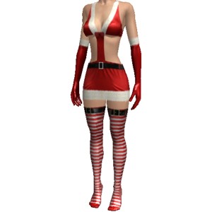 Sexy costume, Sexy Christmas costume, for top 