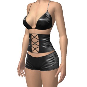 Sexy costume, Sexy costume with corset