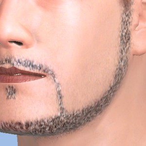 Stubble, Be macho, be sexy!, in best 