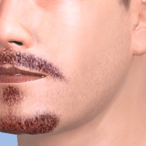Stubble, Be macho, be sexy!, update to highest quality 