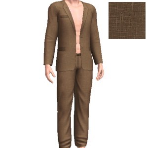 Suit, Elegant brown
