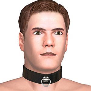 Collar, For S/M games