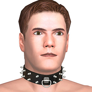 Collar, For S/M games
