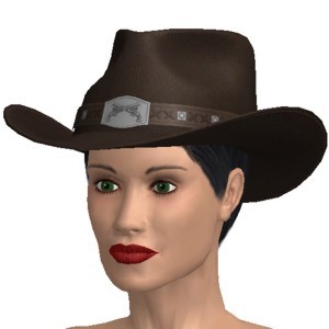 Cowboy hat, Fine leather