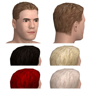 Hairstyle 3, Classic look varied in different colors