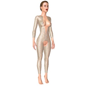 Sexy body suit, Exclusive wear