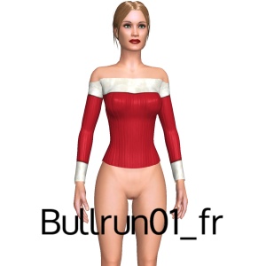 From Bullrun01_fr