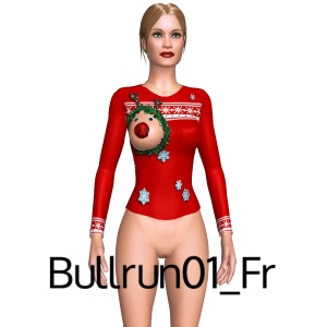 Christmas sweater, From Bullrun01_Fr