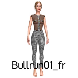 Sexy costume, From Bullrun01_fr