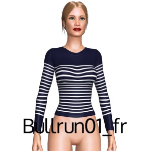 Sexy top, From Bullrun01_fr