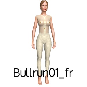 From Bullrun01_fr