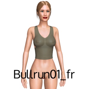 Sexy top, From Bullrun01_fr