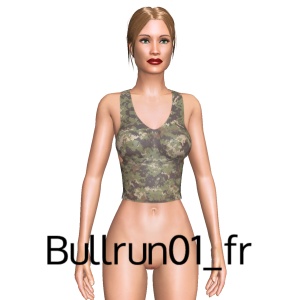 Sexy top, From Bullrun01_fr