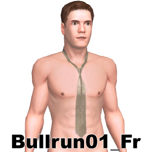 Tie, From Bullrun01_Fr