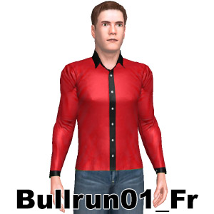 Shirt, From Bullrun01_Fr