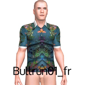 Sexy shirt, From Bullrun01_fr