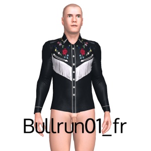 Sexy shirt, From Bullrun01_fr