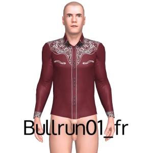 Sexy shirt, From Bullrun01_fr