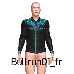 Sexy shirt, From Bullrun01_fr