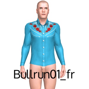 Sexy shirt, From Bullrun01_fr