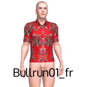 Sexy shirt, From Bullrun01_fr