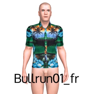 Sexy shirt, From Bullrun01_fr