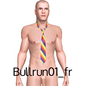 Tie, From Bullrun01_fr