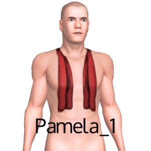 Scarf, From Pamela_1