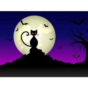 Background, Halloween night