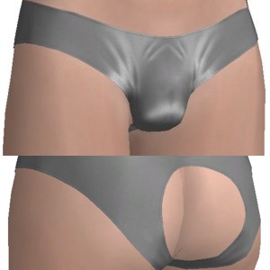 Sexy briefs, Silver grey