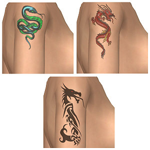 Tattoo 2, Tattoo on your arms, snake and dragons, not only for metal ladies