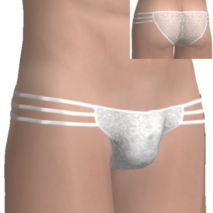 Sexy briefs, White lacy